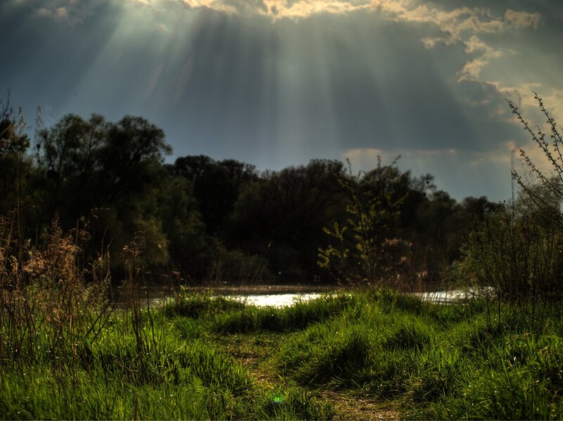 Sunlight beams over a river