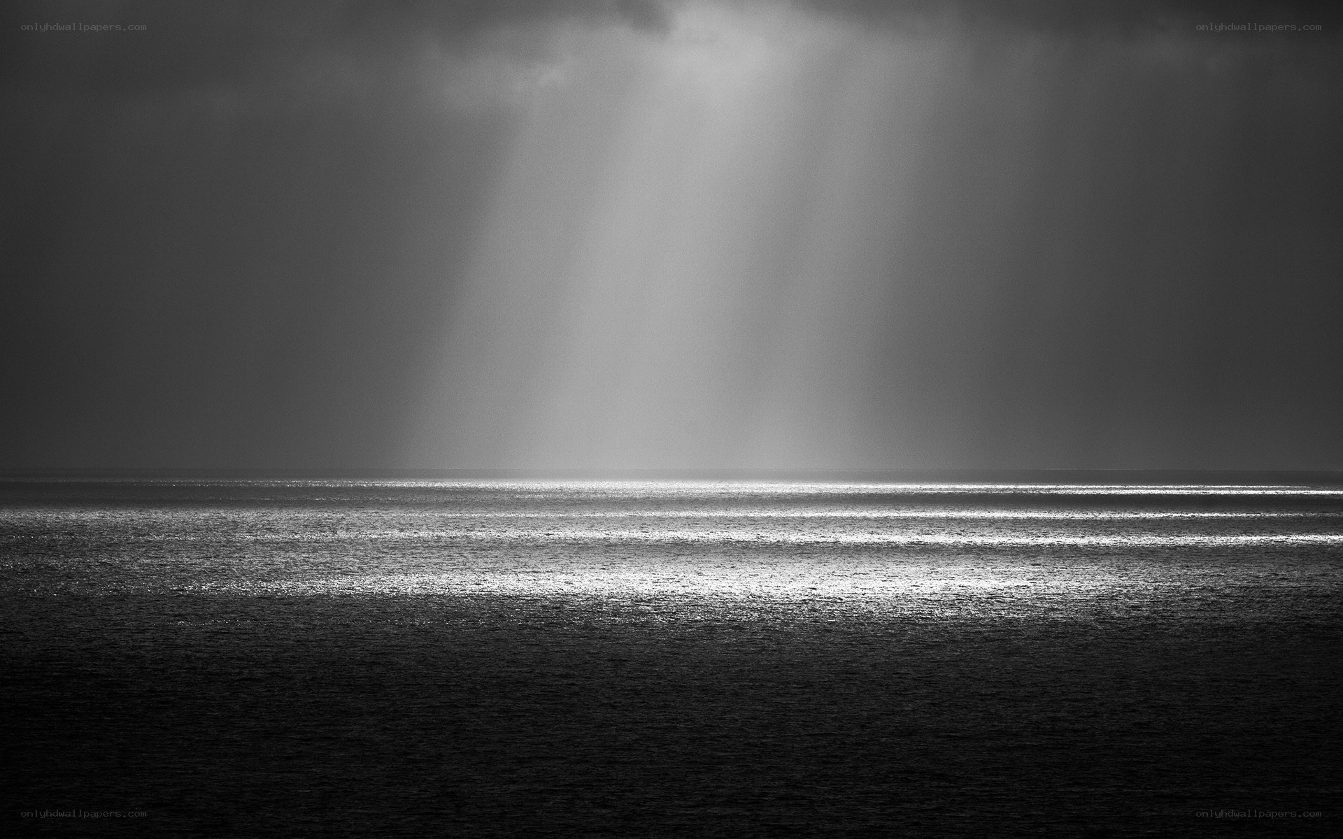 Sunlight beams over the ocean