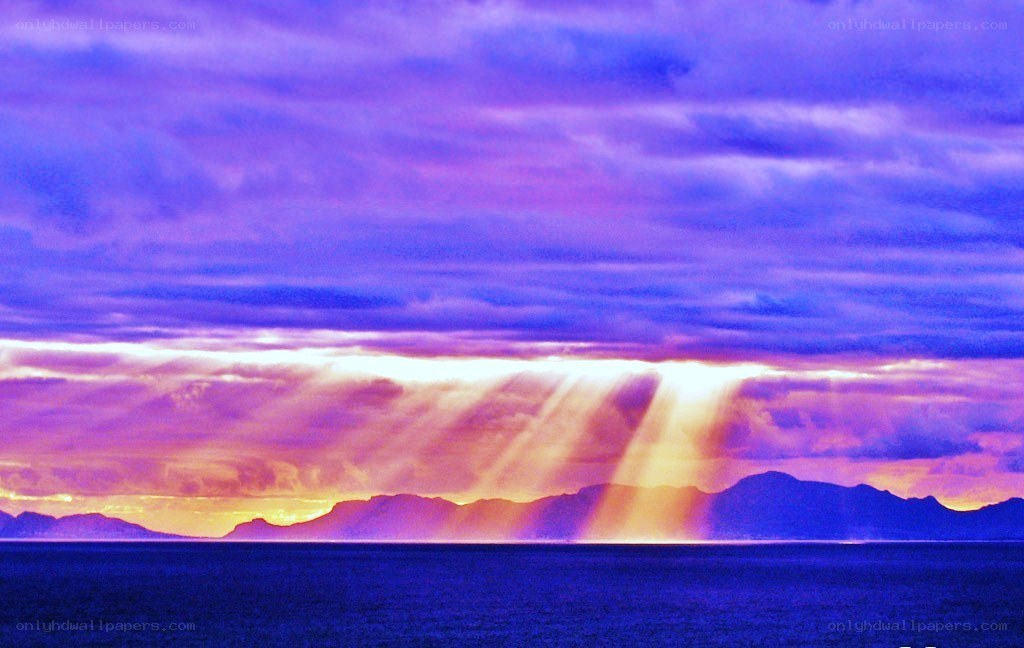 Sunlight beams over the sea
