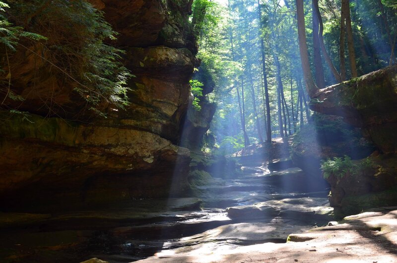 Sunlight beams through forest canyon