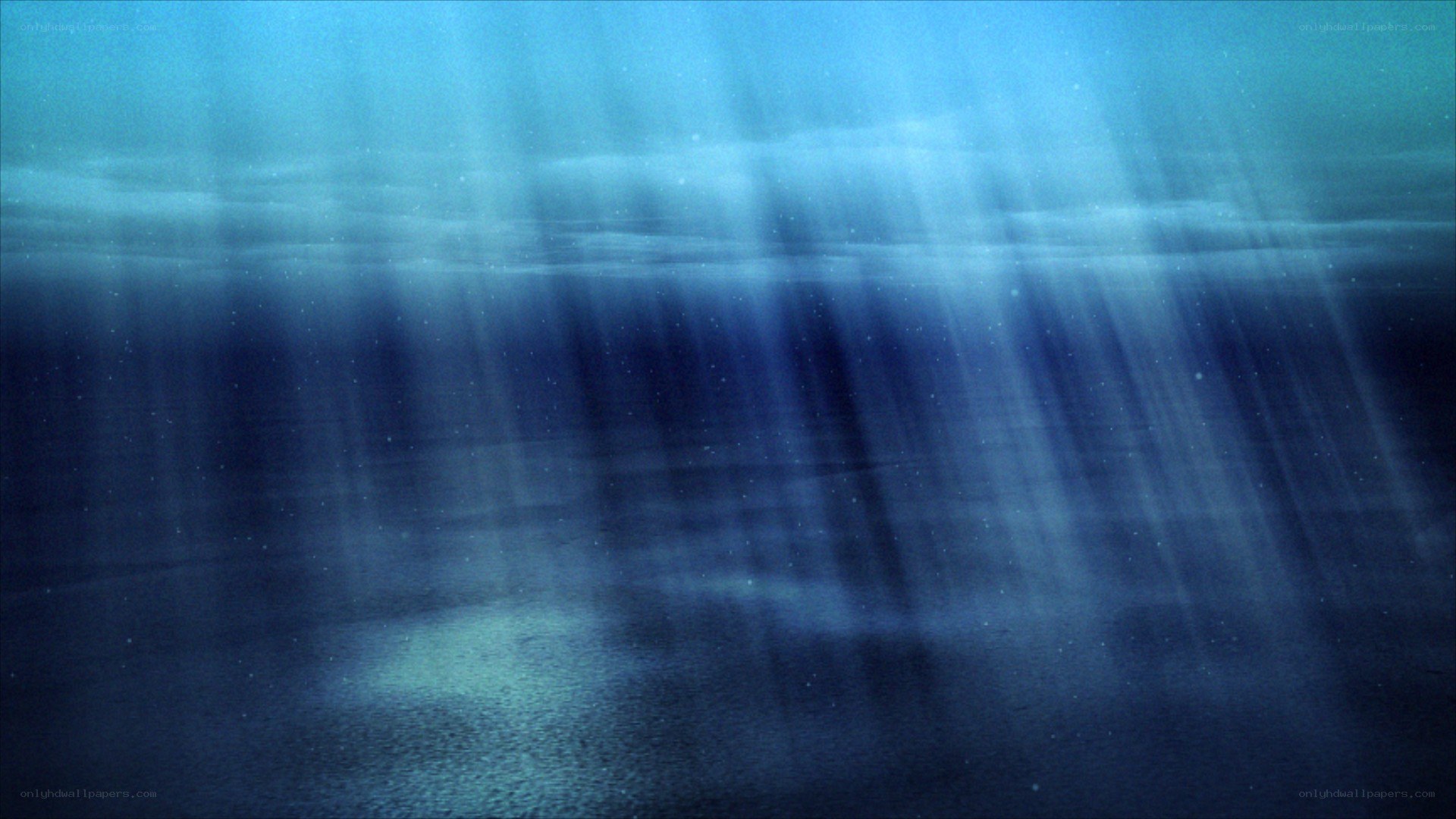 sunlight beams underwater
