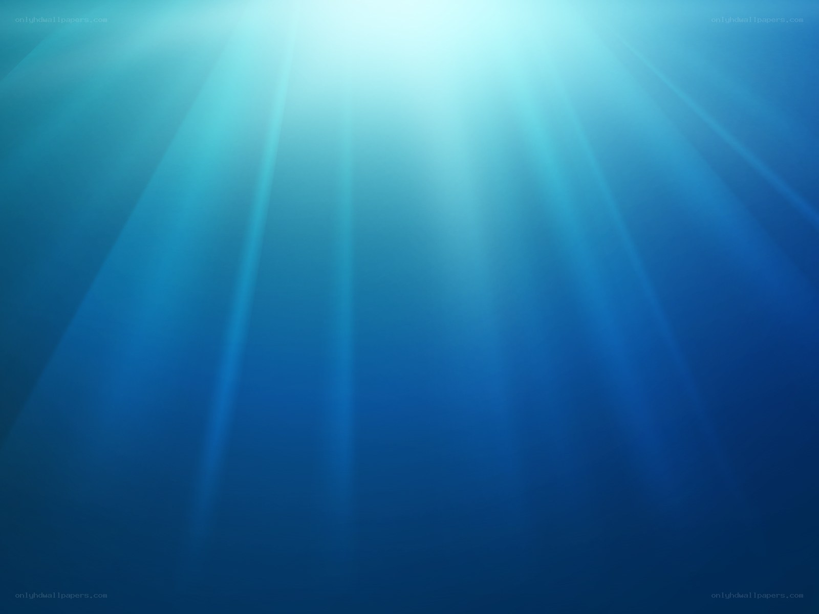 sunlight beams underwater