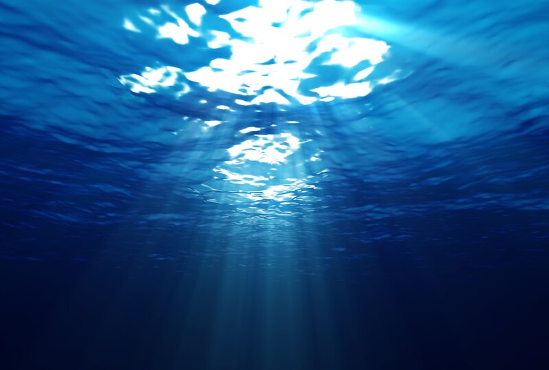 Sunlight beams underwater