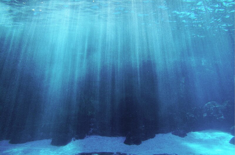 sunlight beams underwater
