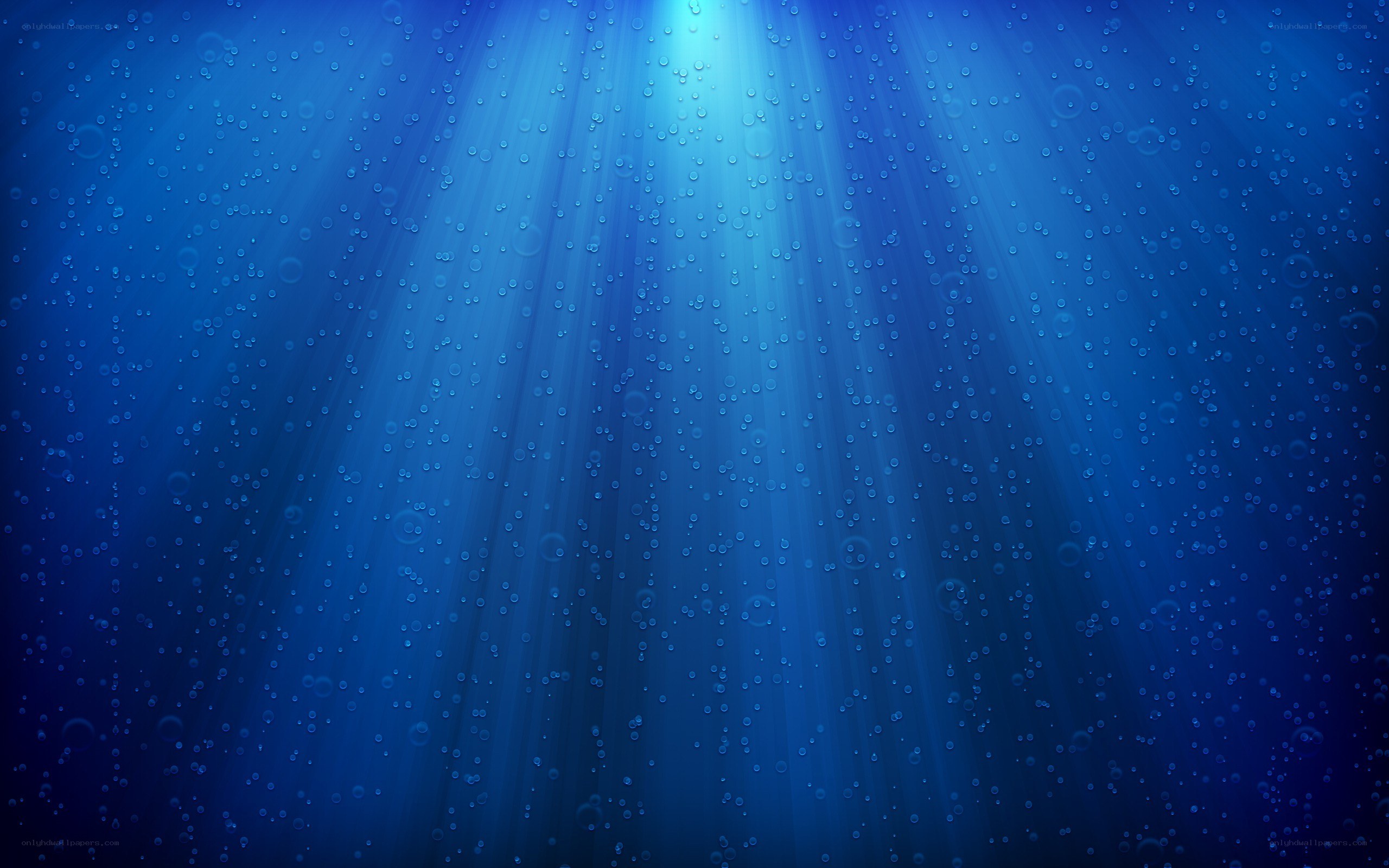 sunlight beams underwater