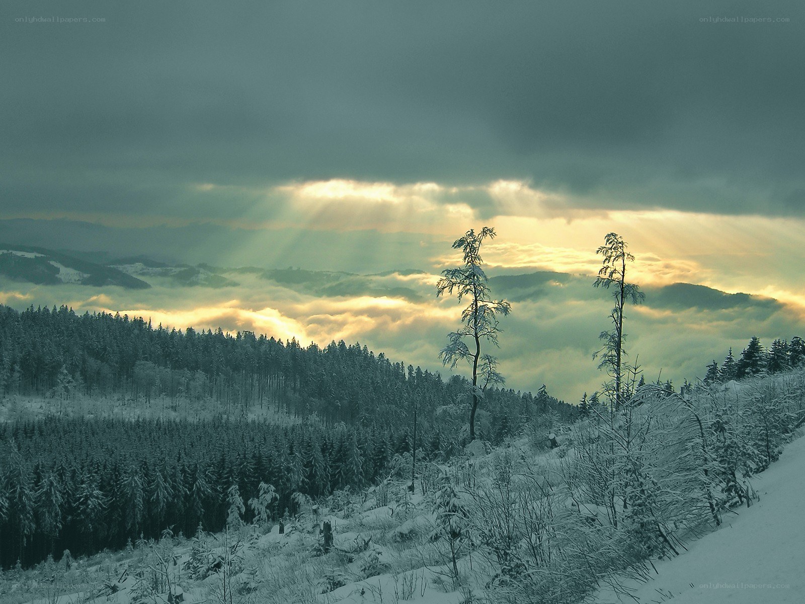 Sunlight breaking through clouds over snowy mountains