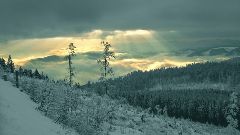 Sunlight breaks through clouds over snowy forest