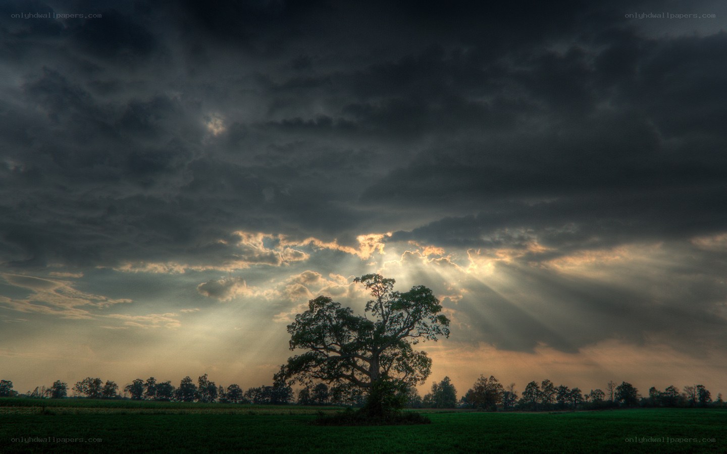 Sunlight breaks through storm clouds