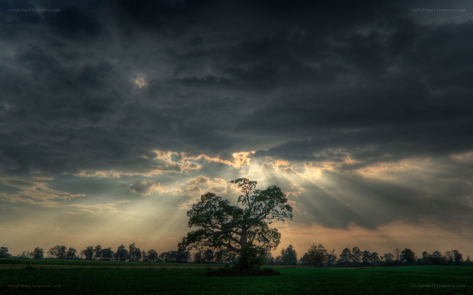 Sunlight breaks through storm clouds