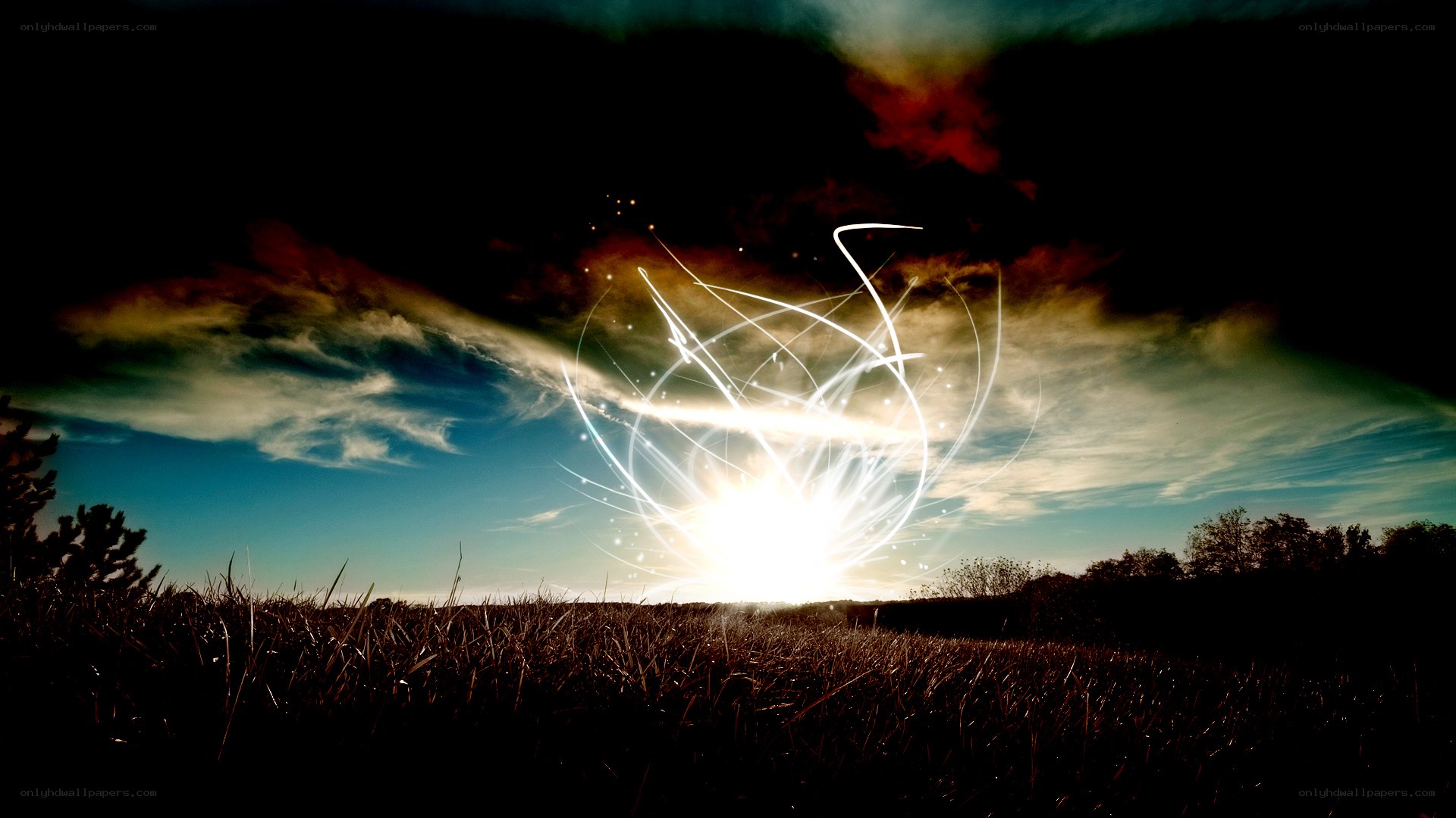 Sunlight burst in a field