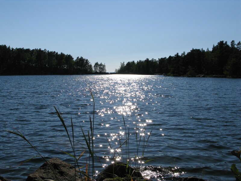 Sunlight glinting on a calm lake