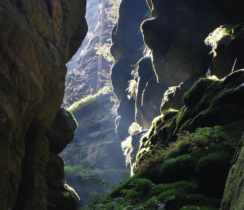 Sunlight in a Canyon — Green