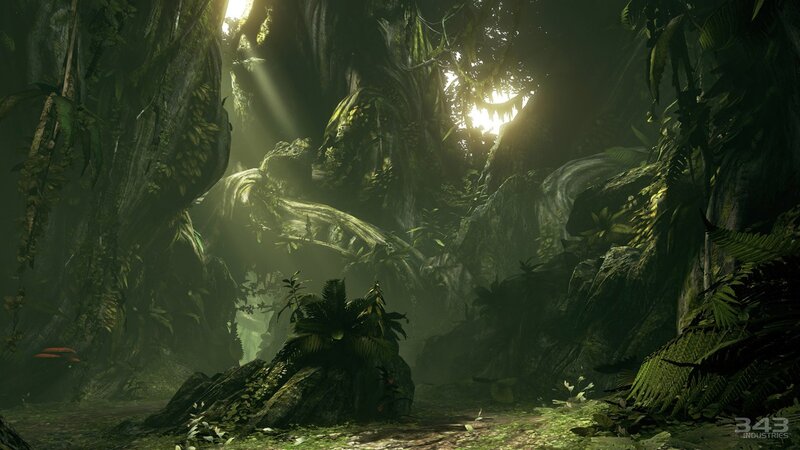 Sunlight in a dense jungle