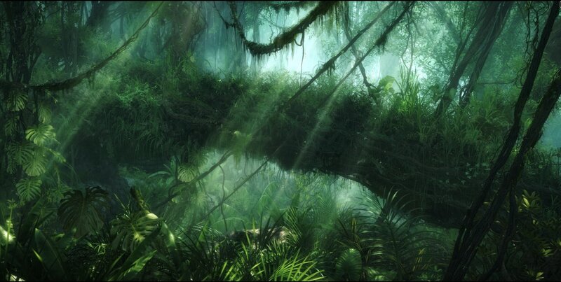Sunlight in a dense jungle