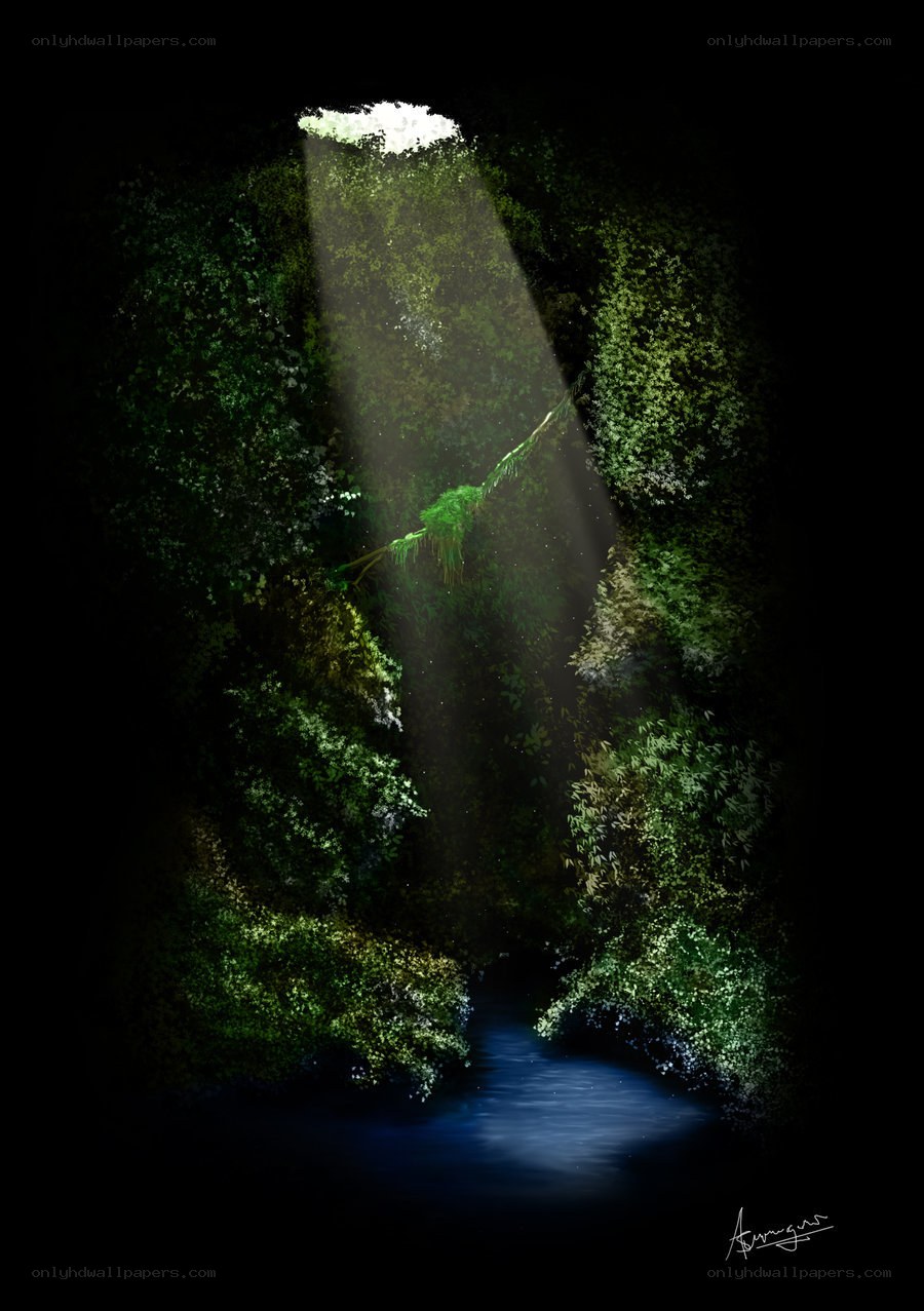sunlight in a forest cave