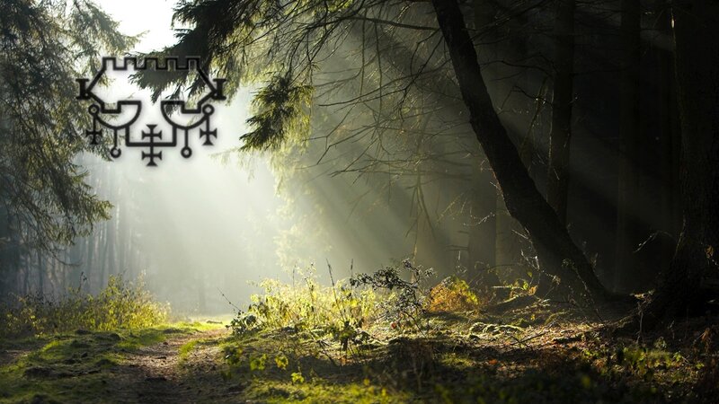 Sunlight in a misty forest