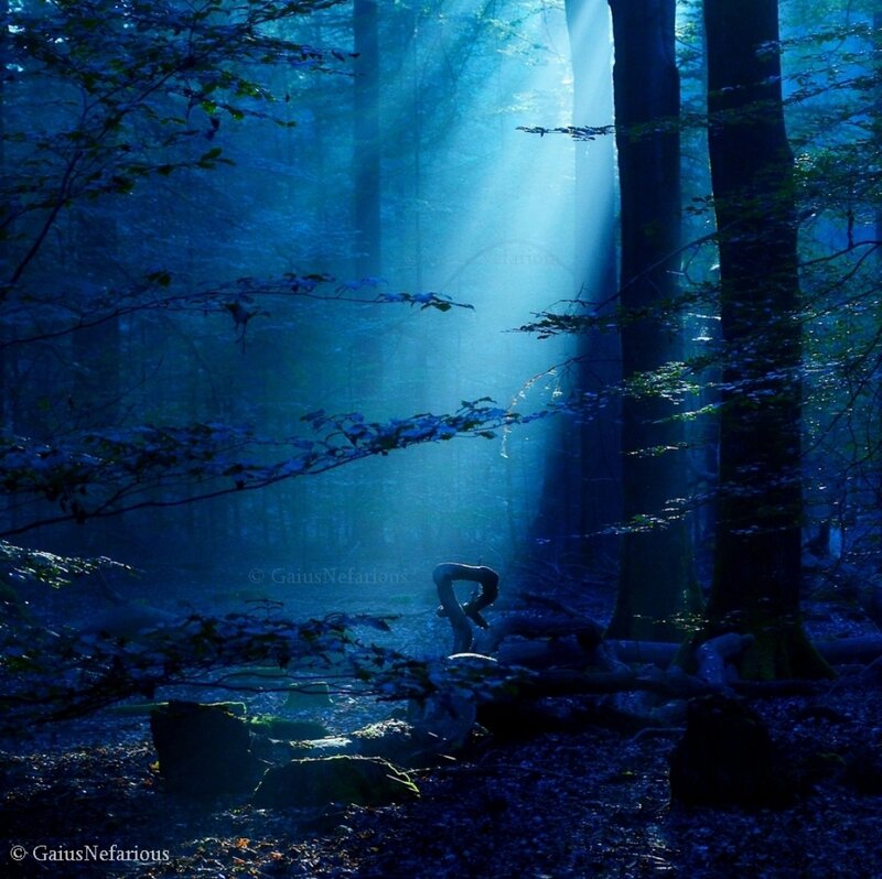 Sunlight in Forest — Blue