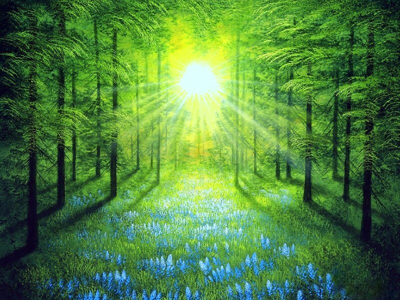 Sunlight in Forest — Green, Serene, Morning, Digital Art
