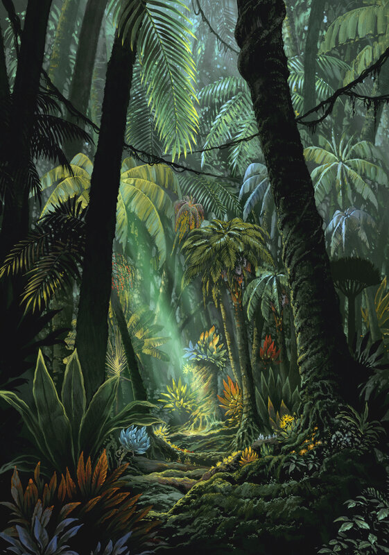 Sunlight in the jungle