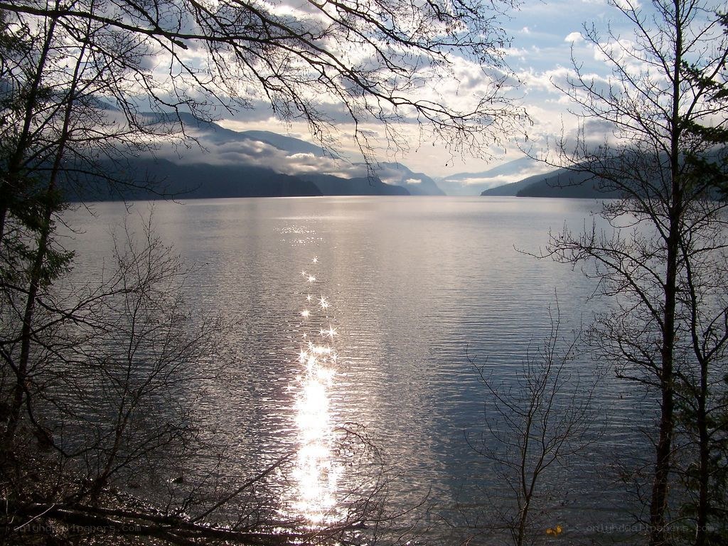 Sunlight on a calm lake