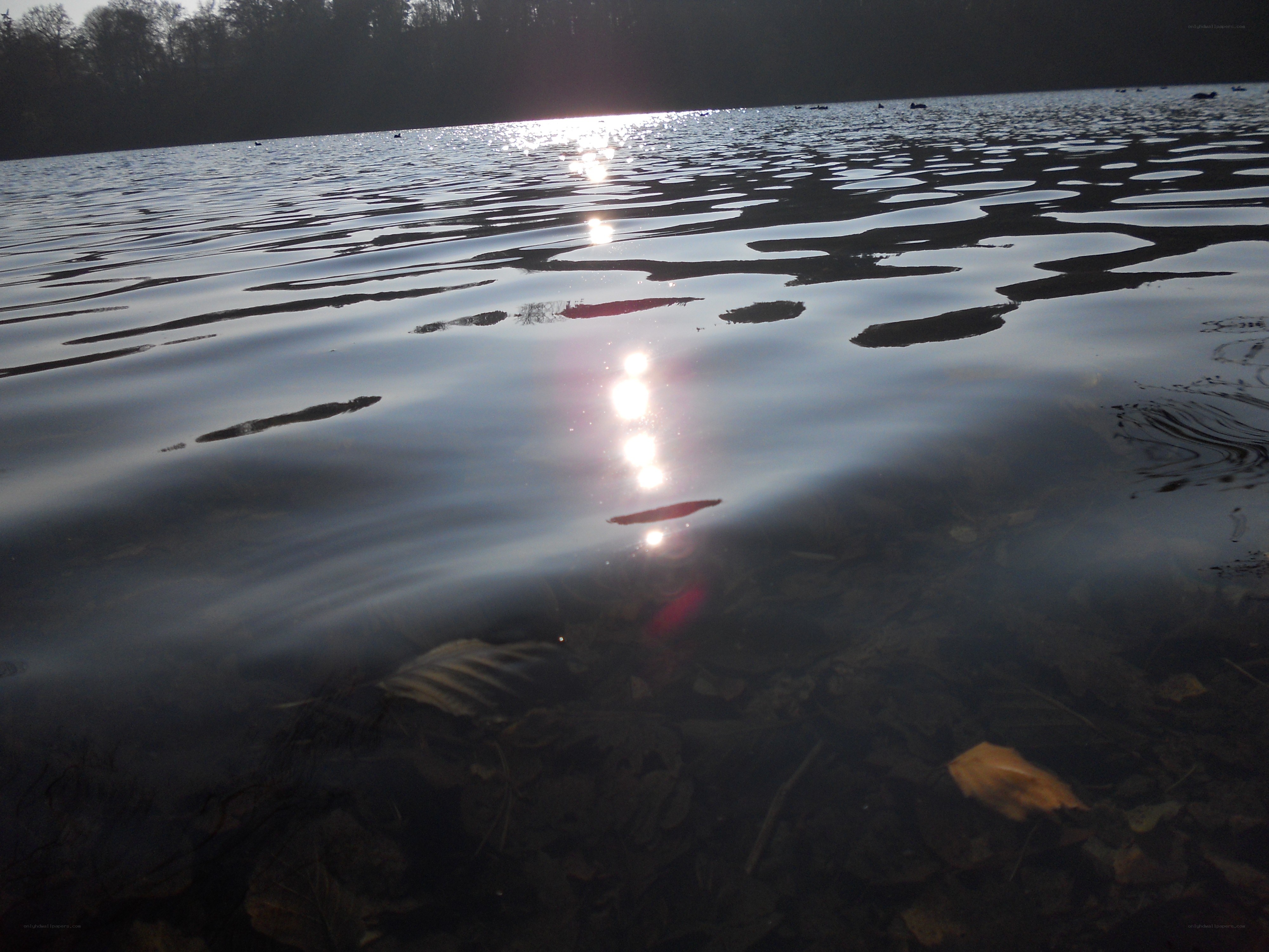 Sunlight on a calm lake