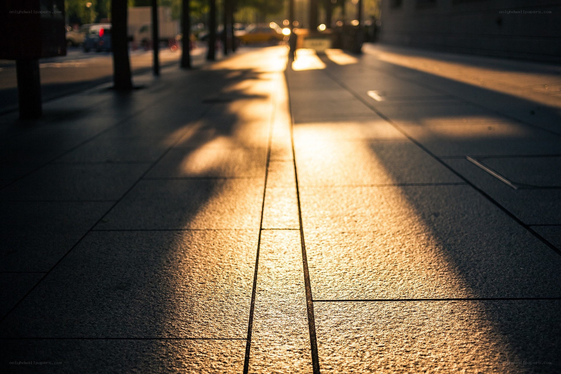 Sunlight on a city sidewalk