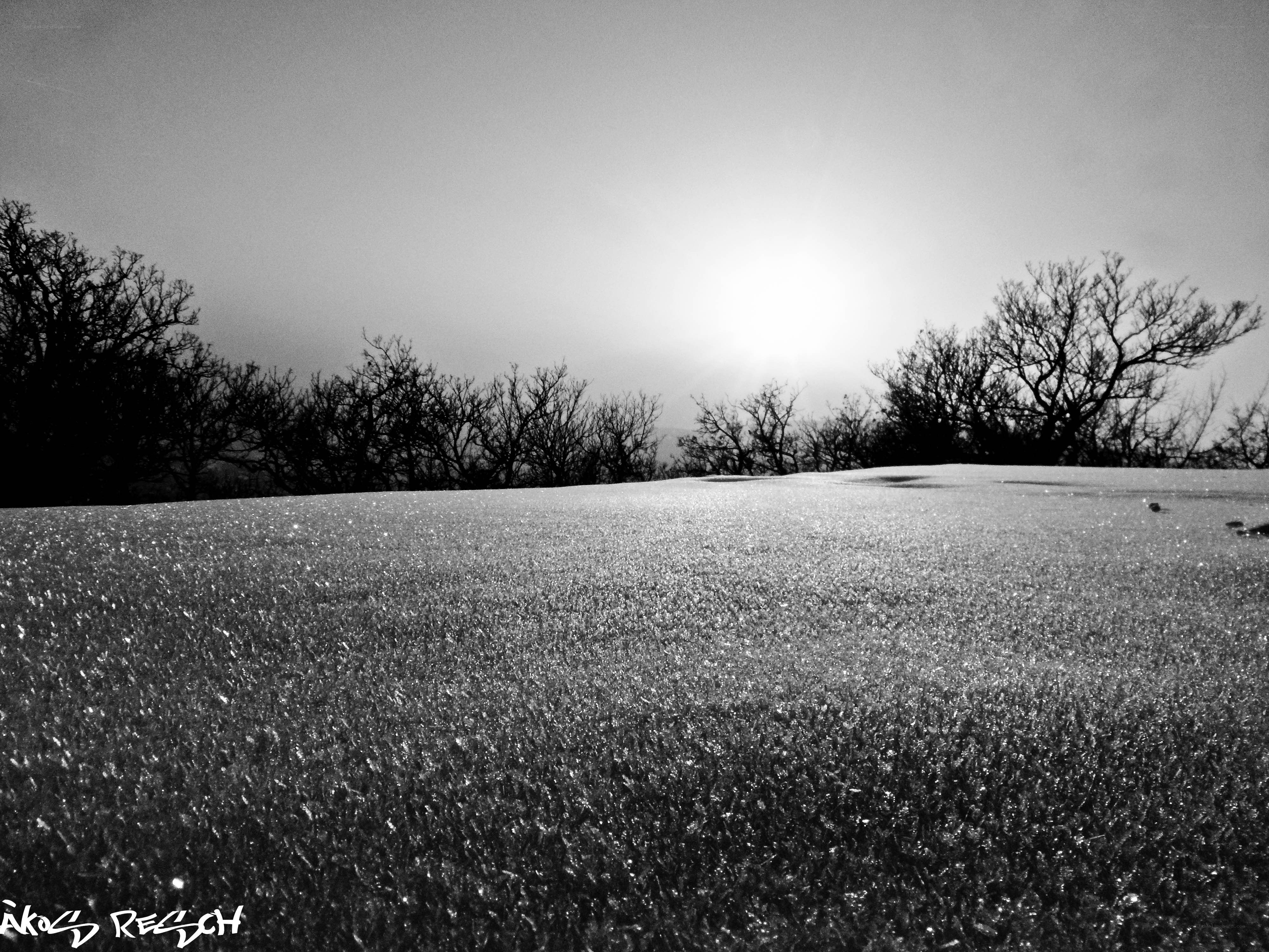 Sunlight on a frosty field