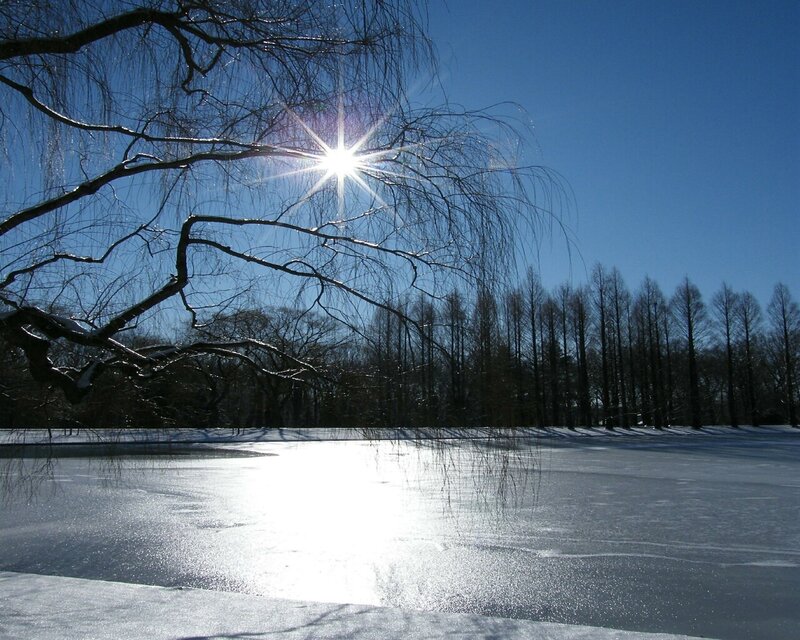 Sunlight on a frozen lake