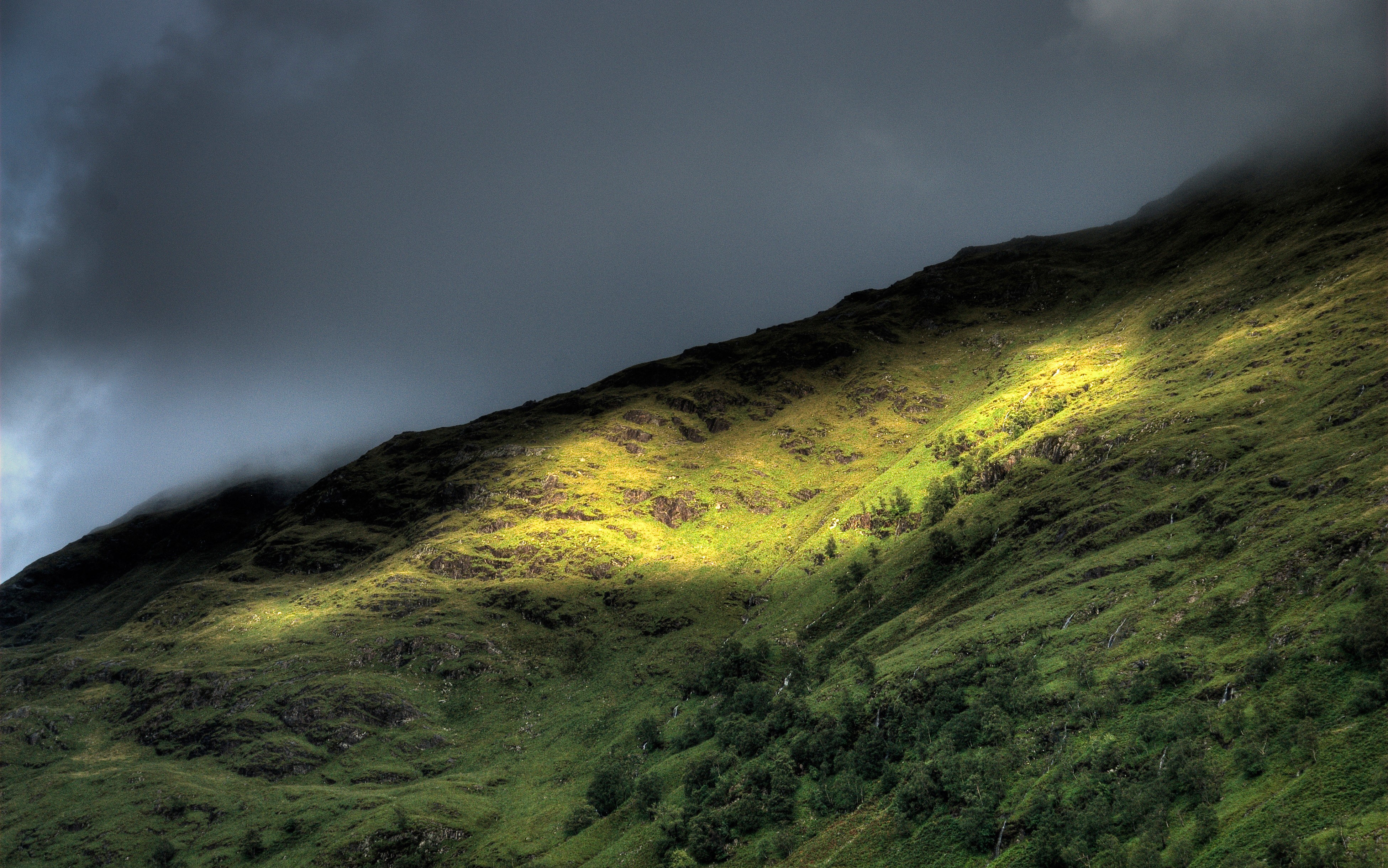 Sunlight on a green hillside