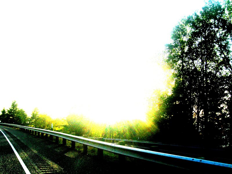 Sunlight on a highway