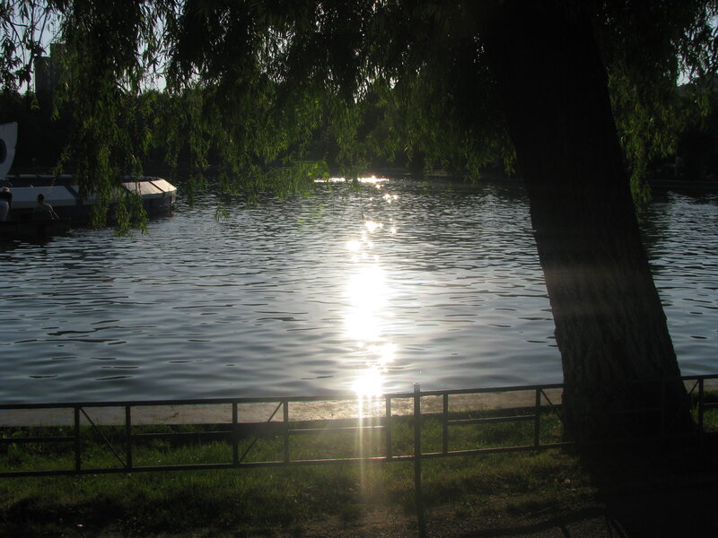 Sunlight on a lake at dusk