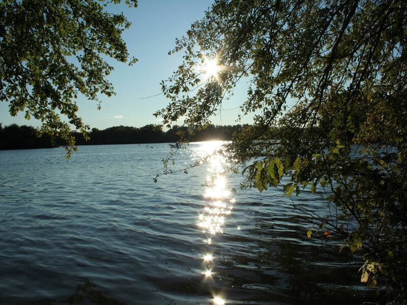 Sunlight on a lake at sunset