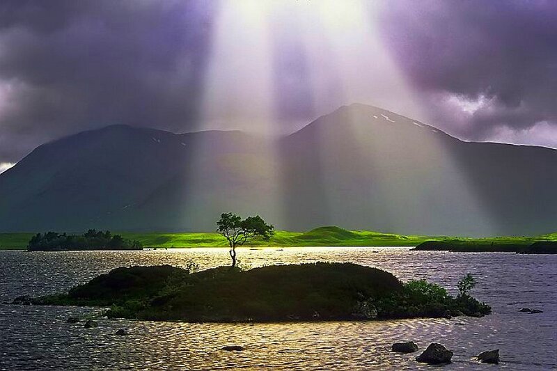 Sunlight on a lone tree island