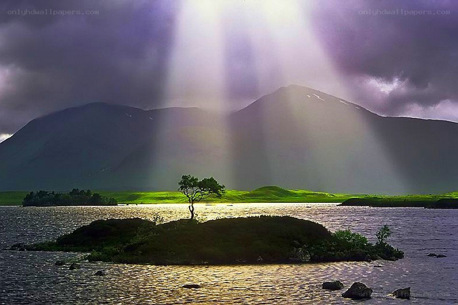 Sunlight on a lone tree island