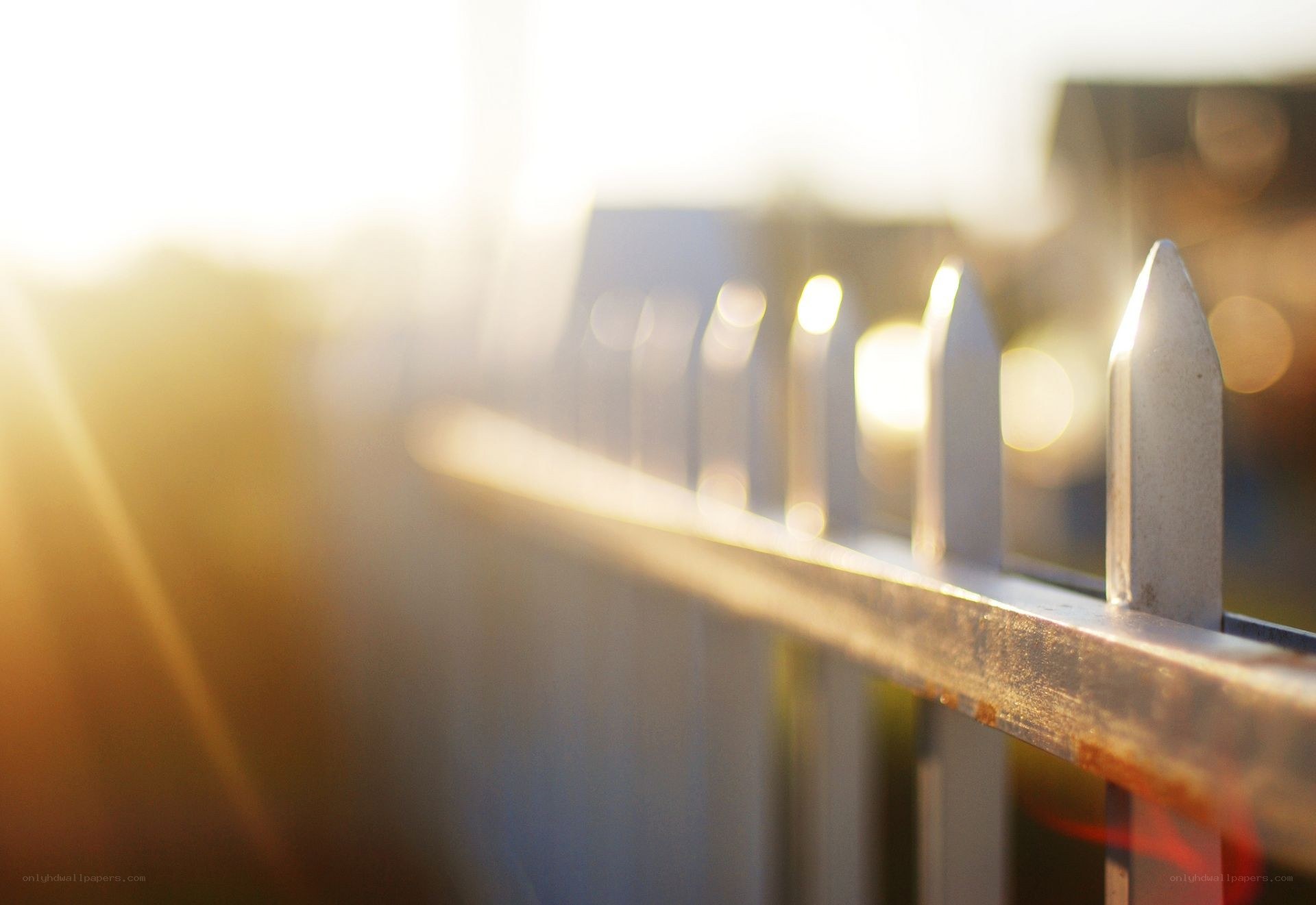 sunlight on a metal fence