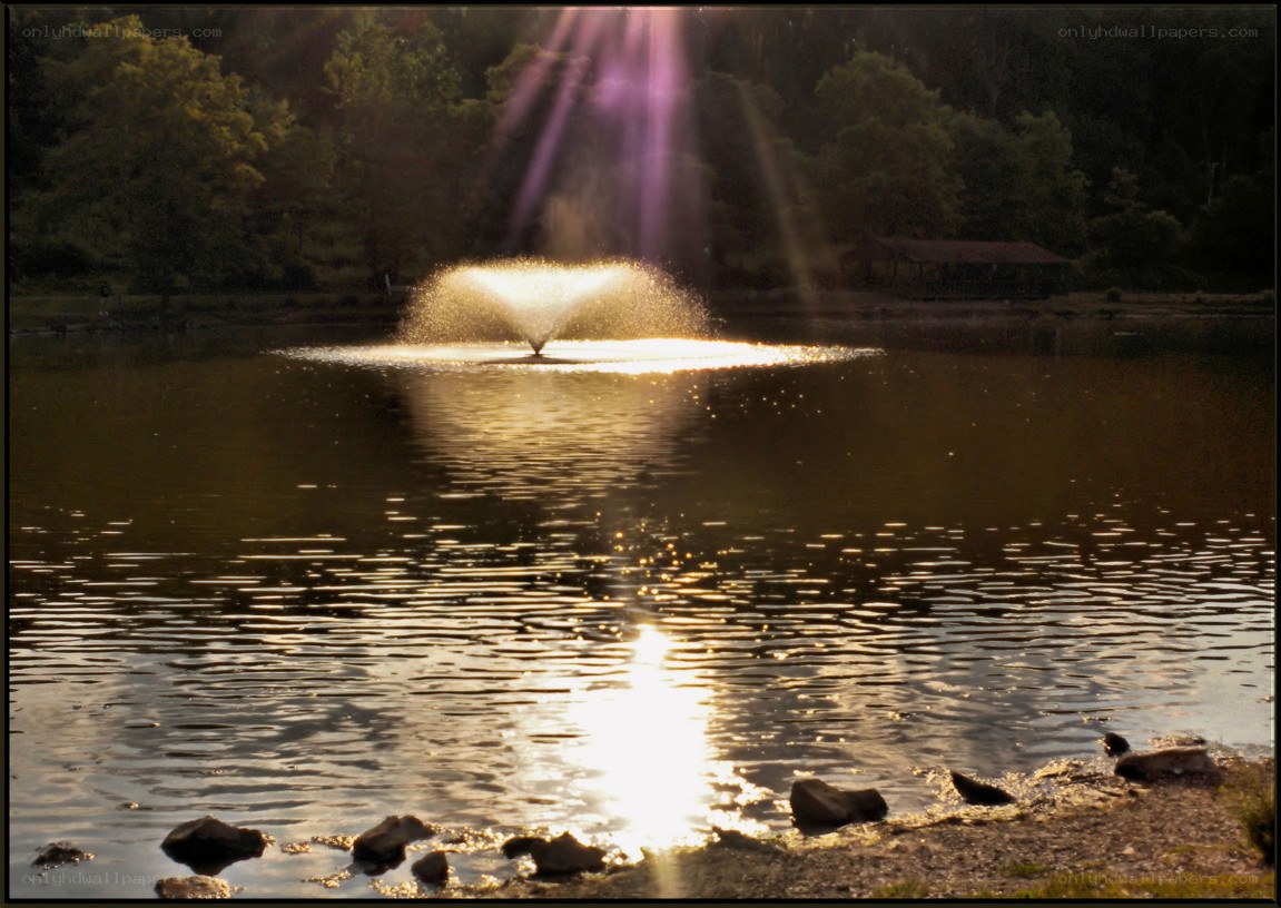 Sunlight on a pond fountain