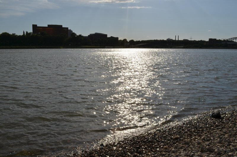 Sunlight on a river with city skyline