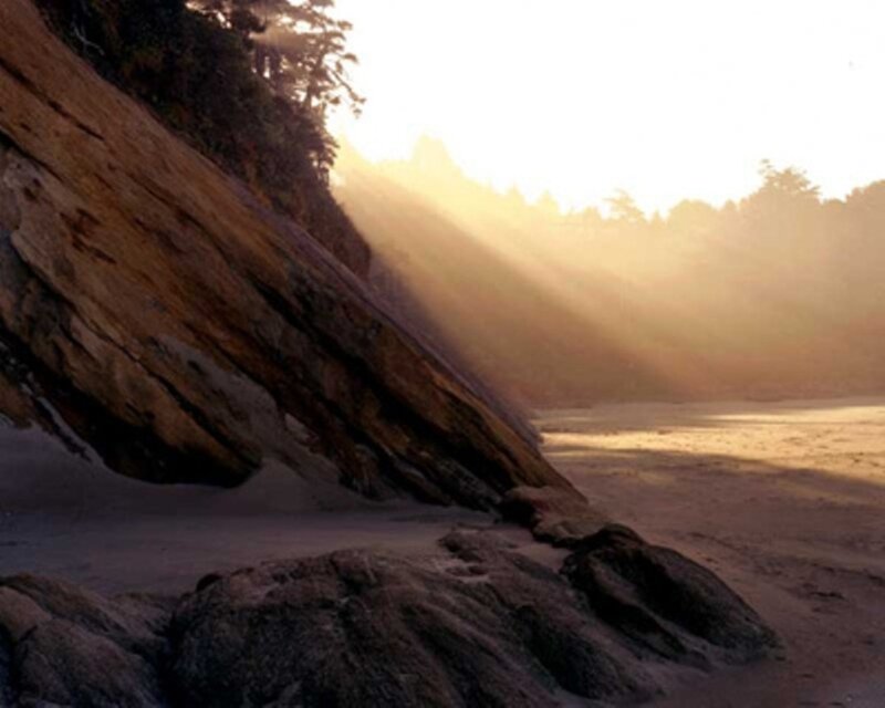 Sunlight on a rocky beach