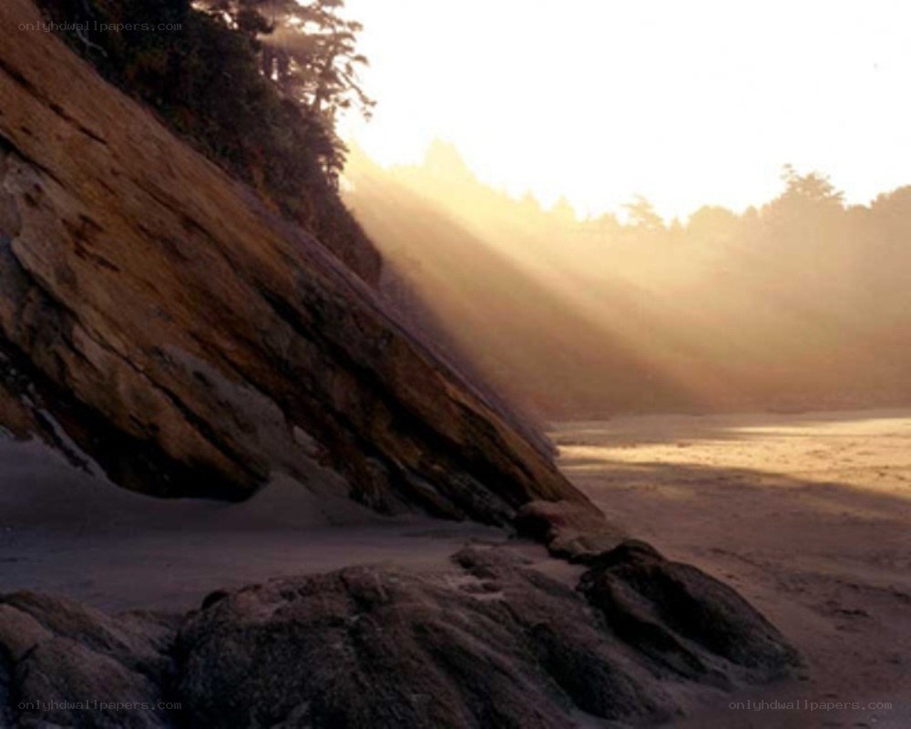 Sunlight on a rocky beach