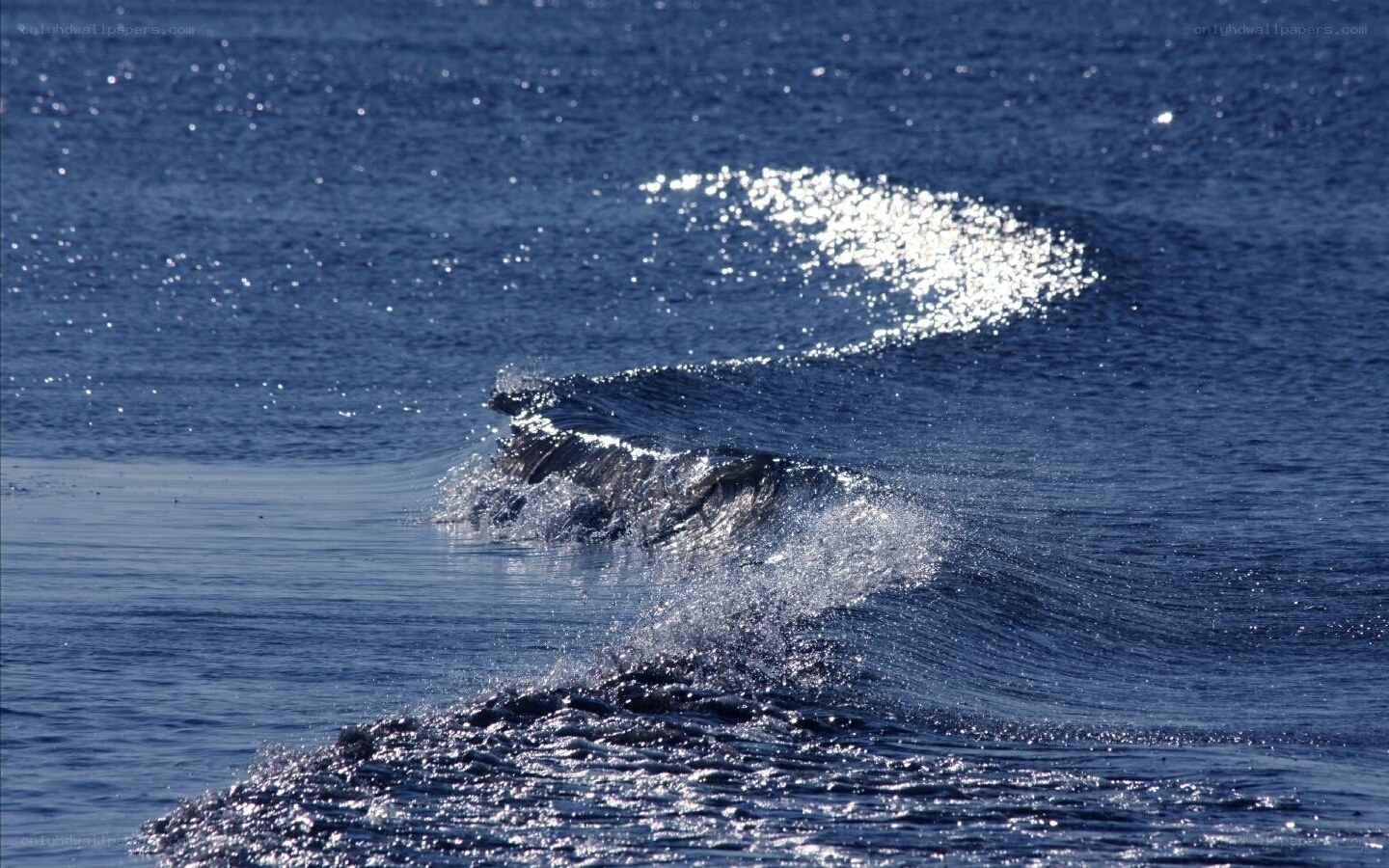 Sunlight on a rolling wave