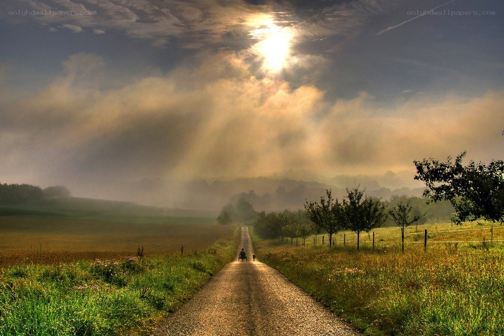 Sunlight on a rural road