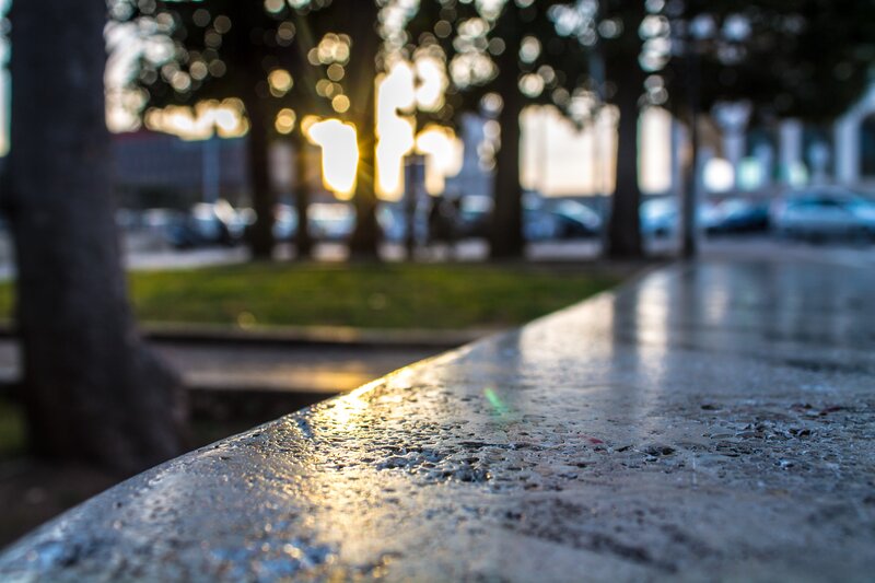 Sunlight on a wet surface