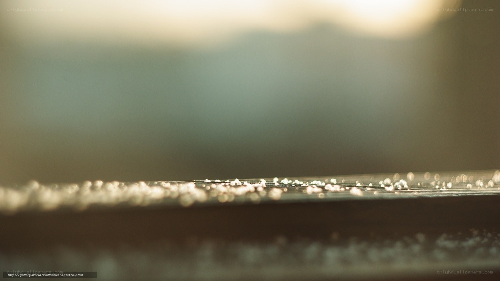 Sunlight on a wet surface
