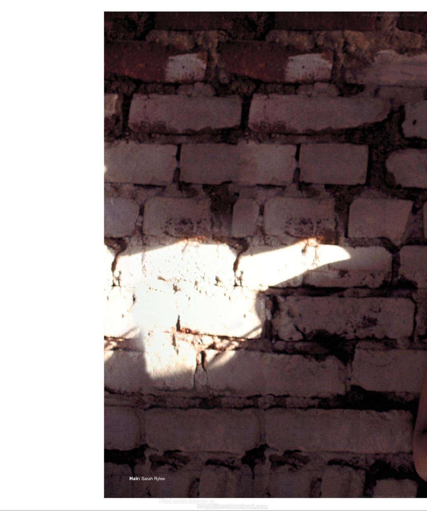 sunlight on brick wall