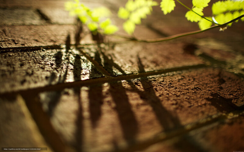 Sunlight on brick wall