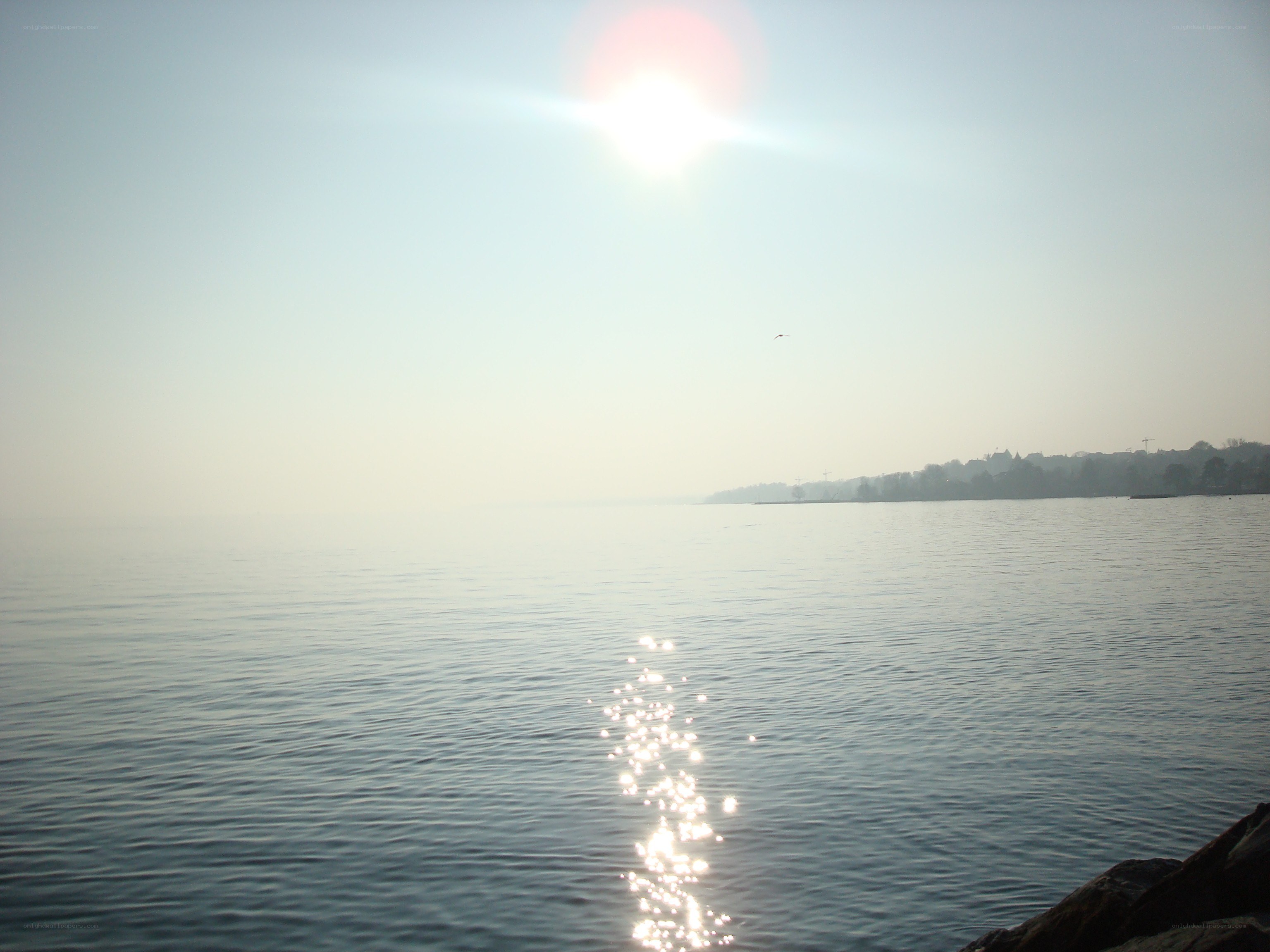 Sunlight on calm water