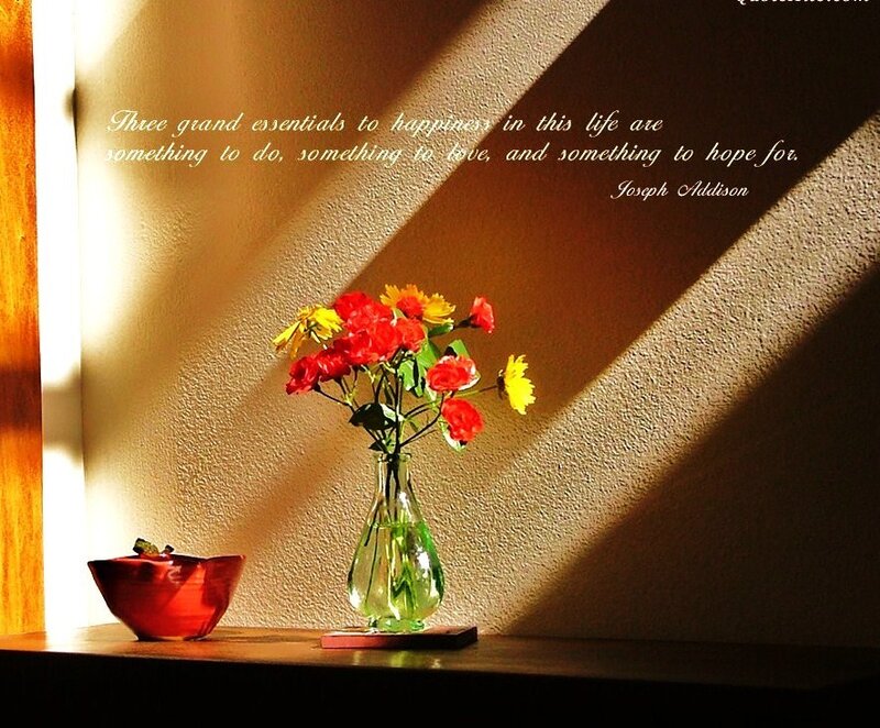 Sunlight on flowers and quote