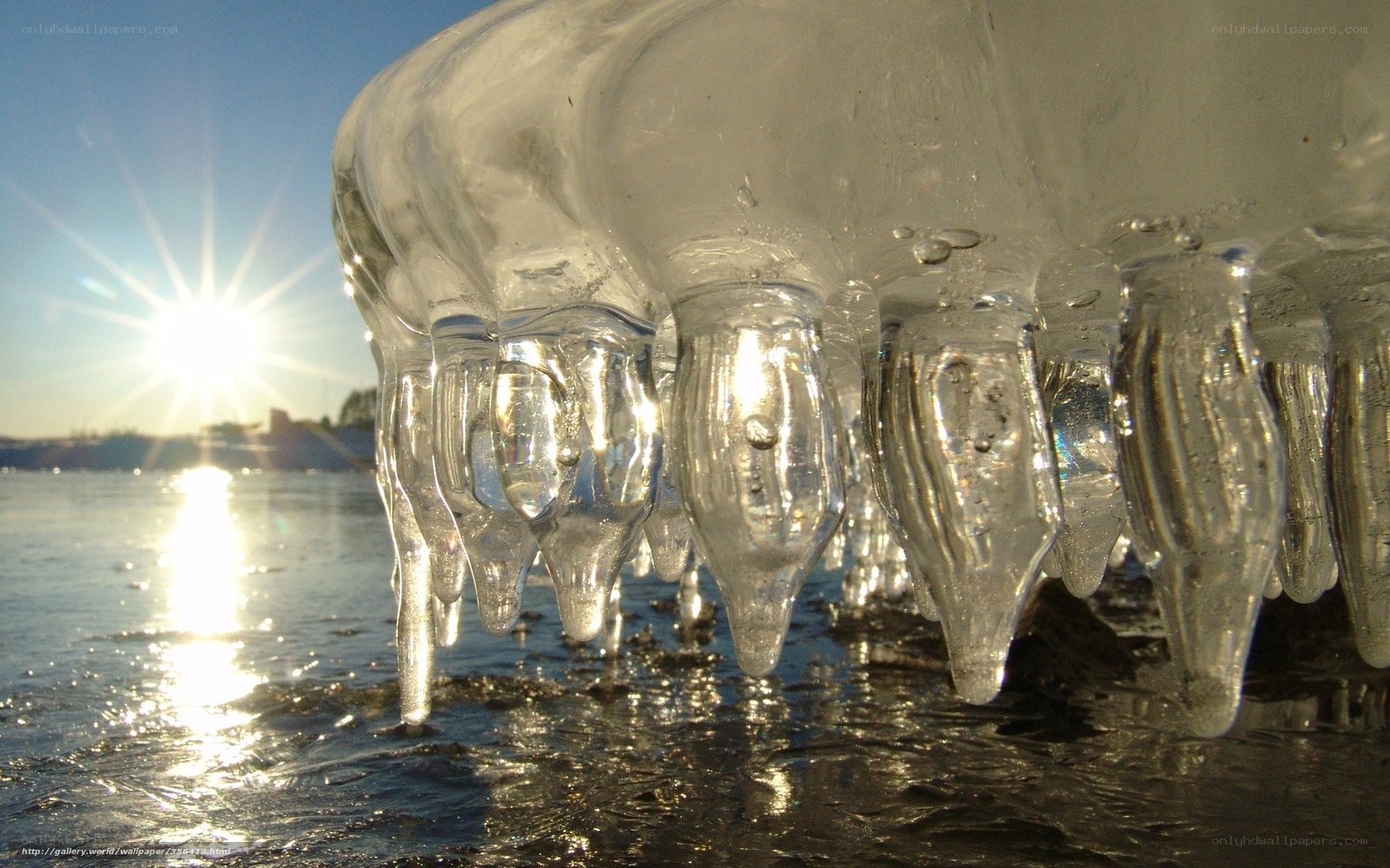 Sunlight on icicles by the water