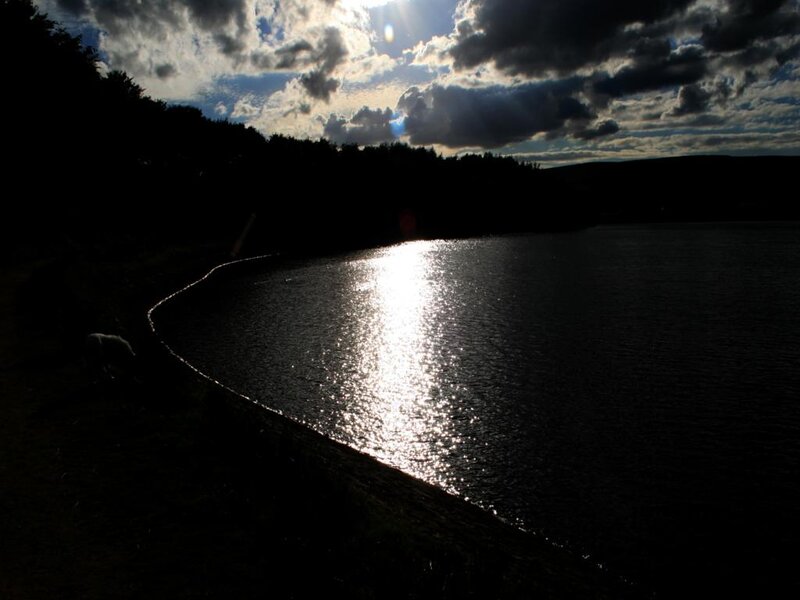 Sunlight on Lake Surface — Black