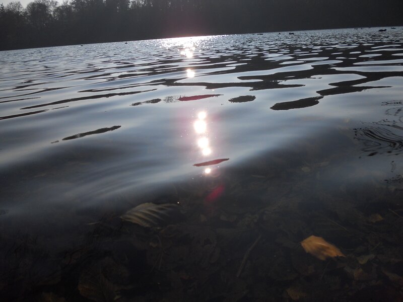 Sunlight on Lake Surface — Blue, Serene